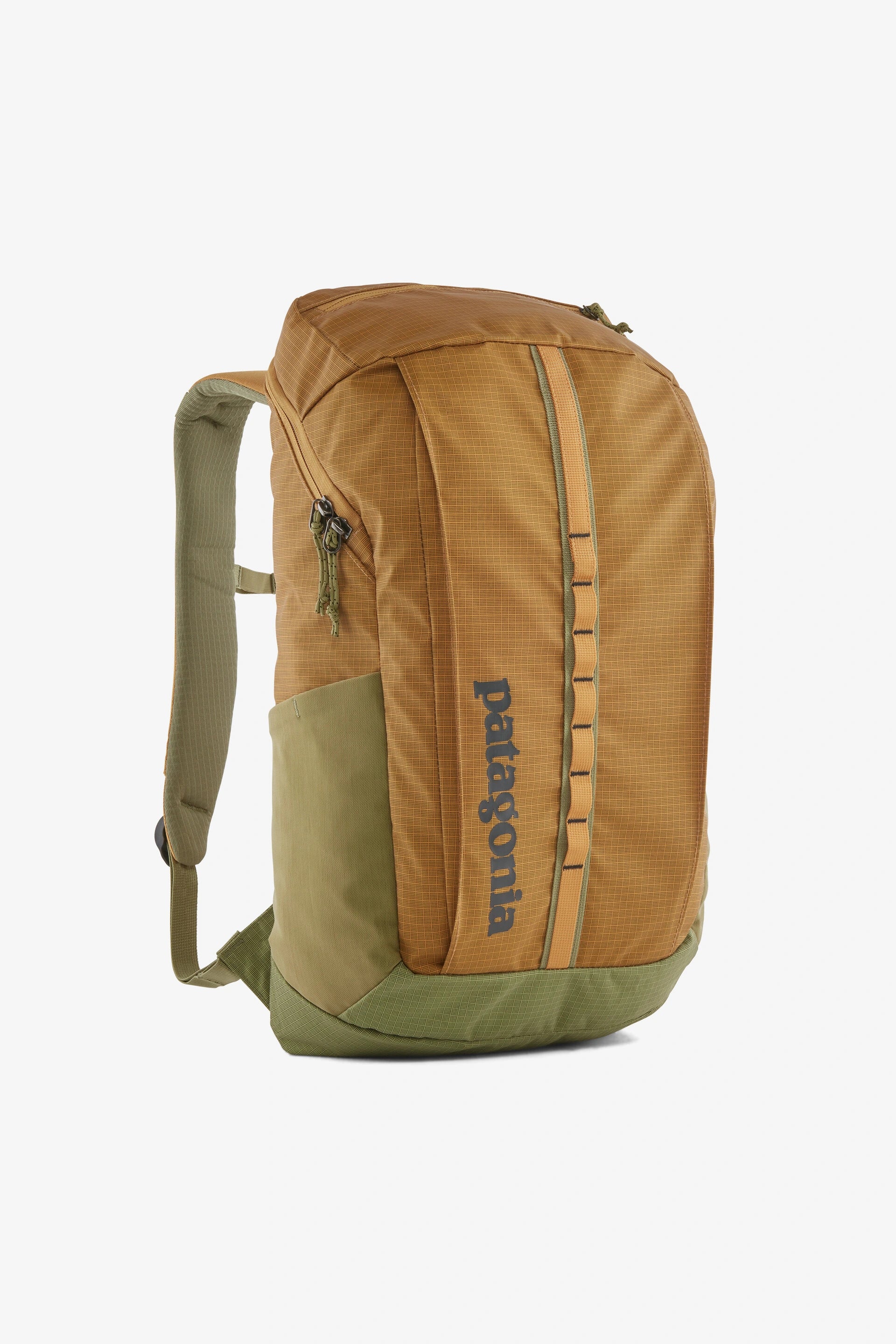 Patagonia Black Hole Pack 25L