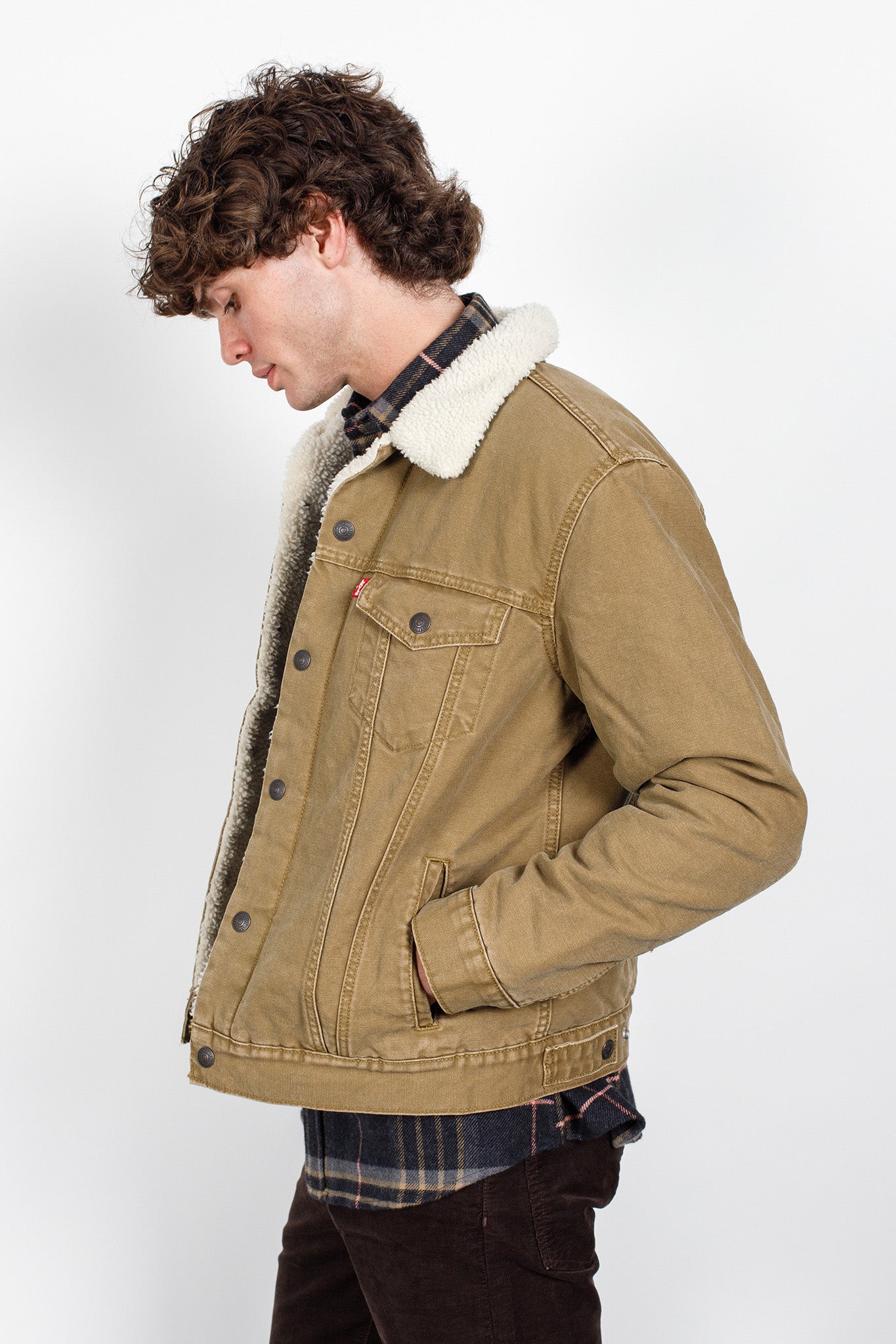 Levis cord sherpa on sale